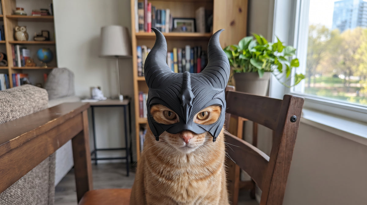 Kedi Kaskı