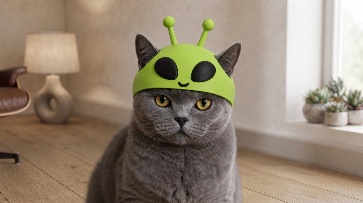 Kedi Kaskı